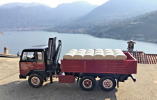 Camion d'Epoca Vintage Truck