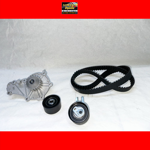 Kit distribuzione pompa - distribuzione, +