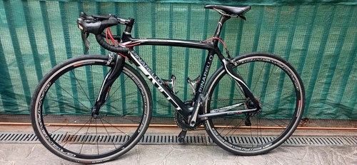 Pinarello paris taglia - pinarello,