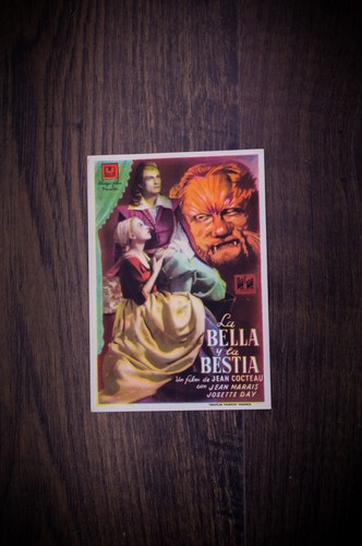 Bellezza bestia araldo - bellezza,