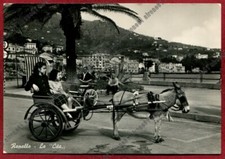 GENOA RAPALLO 205 WHEELCHAIR -