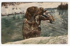 GERMAN WIREHAIRED POINTER OLD