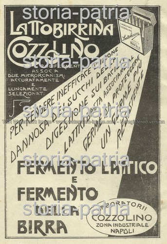 NAPOLI_CHIMICA_FARMACIA