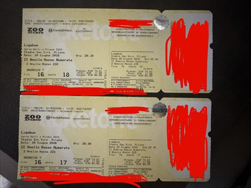 Biglietti concerto ligabue - 2,