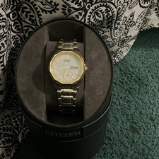 Citizen Eco-Drive Two-Tone