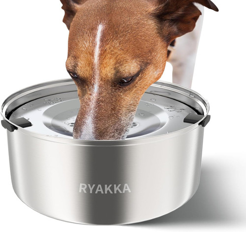 Ciotola acqua per cani - ciotola, cani,