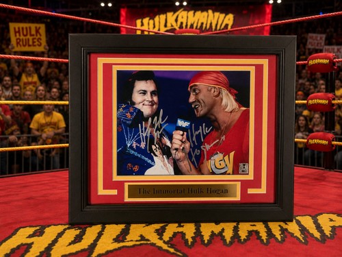 Wwe wcw hulk - hogan, e
