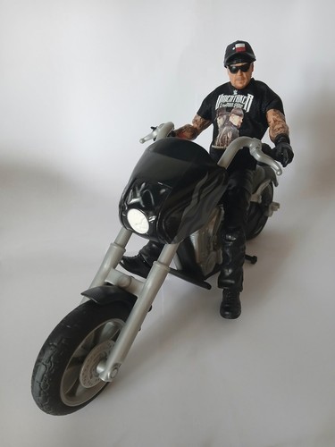 Wwe wrestling action figure - wwe,