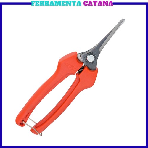 Forbici cogliuva lama - forbici,