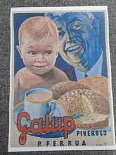 GALUP PANETTONE PINEROLO -