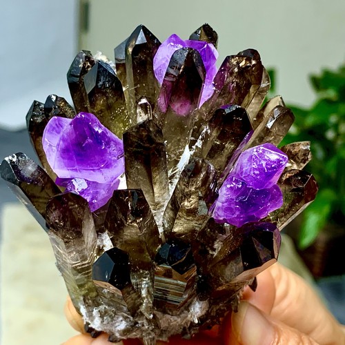 249g new find - 249g,