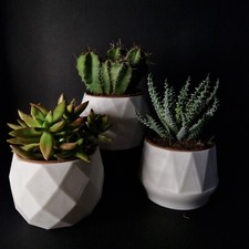 Set di 3 vasi, Vasi stampati