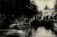 Cartolina Negombo Sri Lanka, Barche Padda sul canale Negombo - 1093436