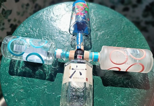 Bottiglie vuote gin decorate - bottiglie,