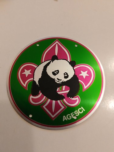 Agesci panda green plate - panda,