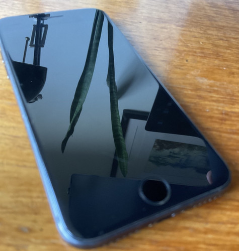 Apple iphone 64gb nero buone - 64gb,