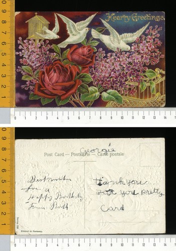 V3423 augurale colombe - v3423],