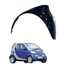 Parafango Posteriore Sinistro