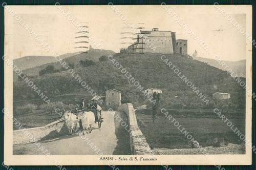Perugia assisi carro buoi - perugia,