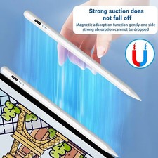 Penna Stylus iPad Palm
