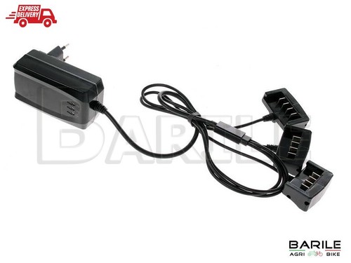 Carica batteria v - 16,8,