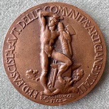 Medaglia Merito Premio