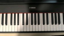 tastiera musicale Yamaha Np-15 Piaggero