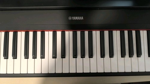 Tastiera musicale yamaha - tastiera, np-15