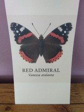 Stampe Farfalla - Ammiraglio