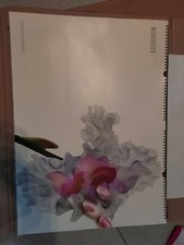 Calendario Pirelli Anno 2004