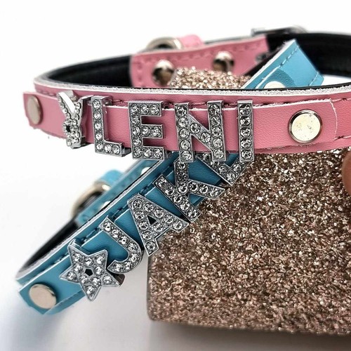 Bling collare per - bling, cani
