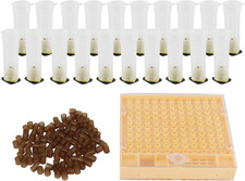 Kit Di Allevamento Di Api