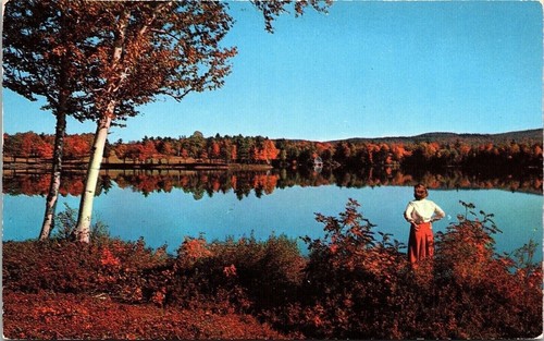 Cartolina riflettente fall - cartolina,
