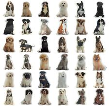 Cuscini a forma di cane, fatti