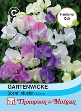 Fasciatoio da giardino 'Scent Infusion' - Lathyrus odoratus, stoppino profumato, semi di stoppino, 9138