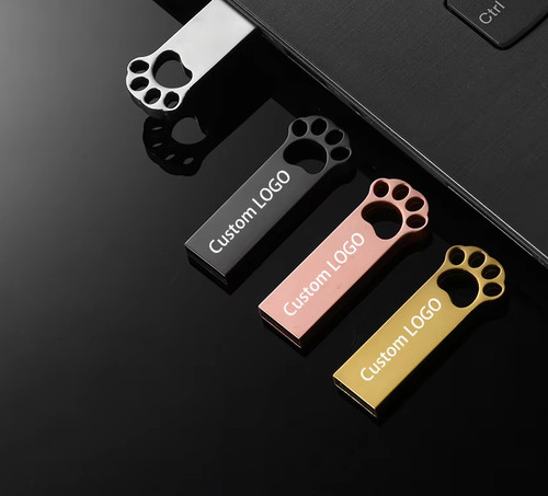 Flash drive metallo artiglio