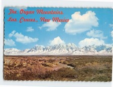 Cartolina Organo Montagne Las