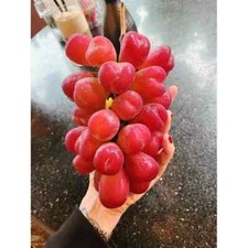 Semi uva cuore - 10, 10