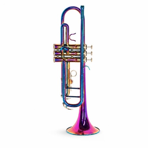 Flicorno soprano con custodia - con,