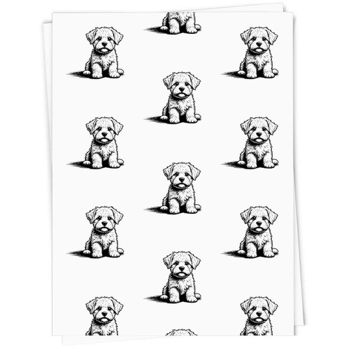 Maltese puppy sitting - 'maltese,