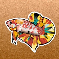 poster betta stiker