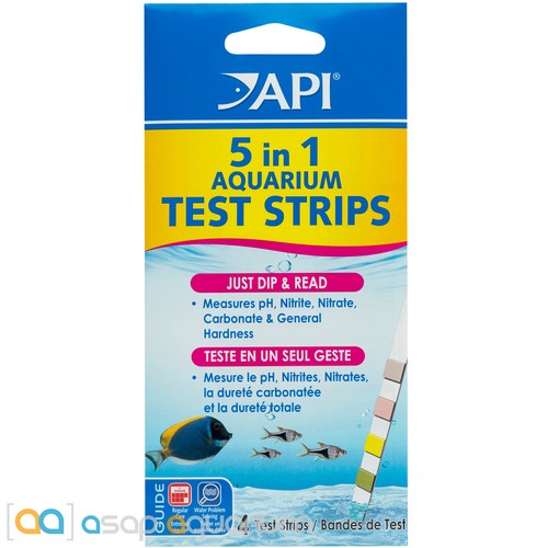 Strisce reattive api - api, in