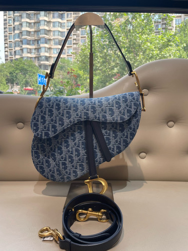 Dior saddle bag - saddle, bag,