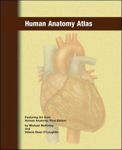 Human anatomy atlas used very - human,