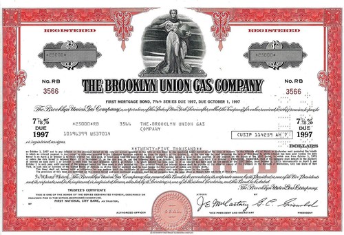 The brooklyn union gas - the,