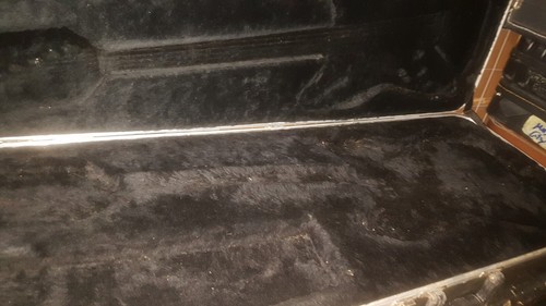 1981 fender stratocaster - stratocaster, case