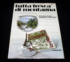 San bernardo poster - bernardo,