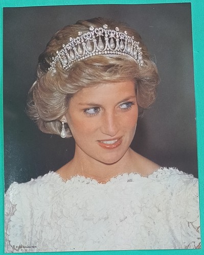 Foto principessa diana 5 - principessa, 21,5