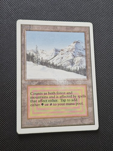 Danneggiato mtg magic - danneggiato,