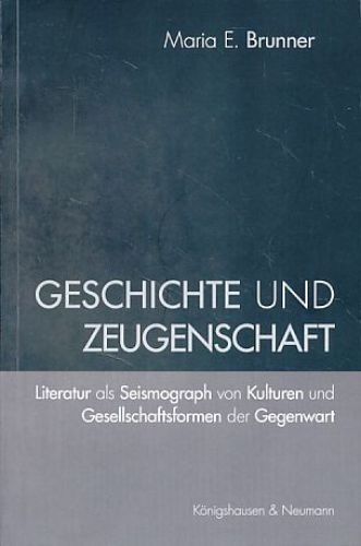 Storia testimonianza - e,
